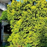 Nostalgia - W Cenie Rowery, Parking, Sauna Δωμάτια σε οικογενειακή κατοικία Kołobrzeg