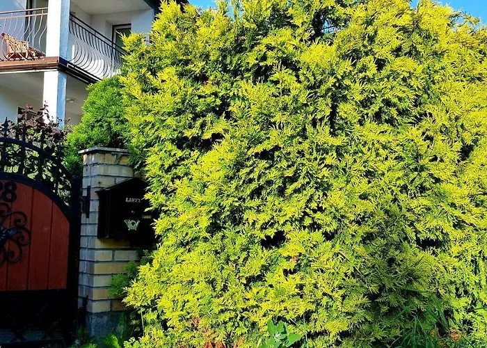 Nostalgia - W Cenie Rowery, Parking, Sauna Habitación en casa particular Kołobrzeg