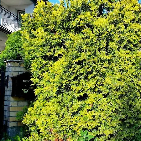 Nostalgia - W Cenie Rowery, Parking, Sauna Δωμάτια σε οικογενειακή κατοικία Kołobrzeg